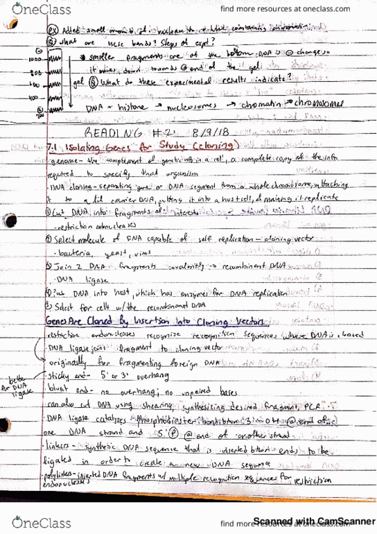 BIO SCI 99 Chapter 7, 8, 11, 12, 13: Reading #1 thumbnail